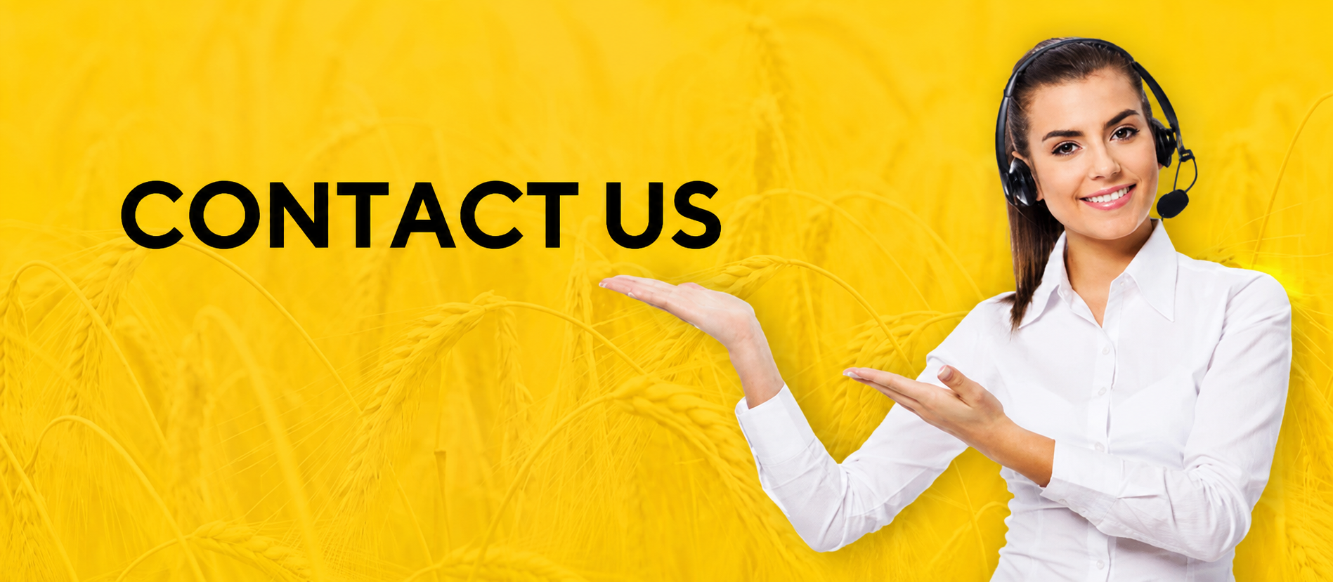 About Us Banner